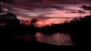 imageedit 4 5861364721